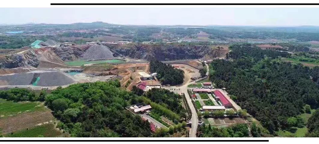 640 (3).webp (1).jpg