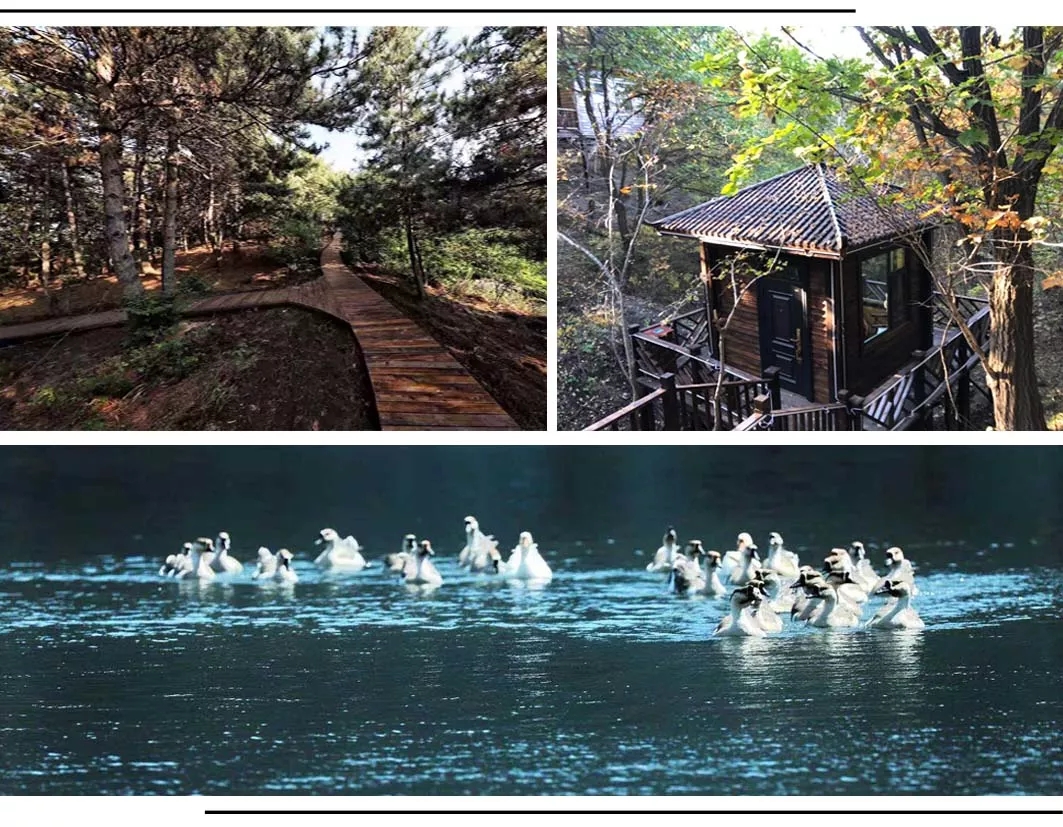 640 (3).webp (2).jpg