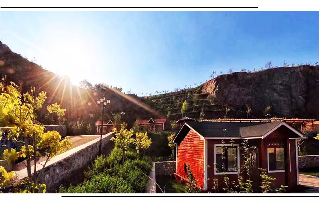 640 (3).webp (6).jpg