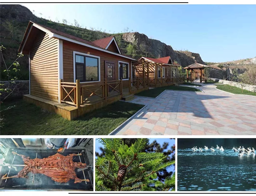 640 (3).webp (13).jpg